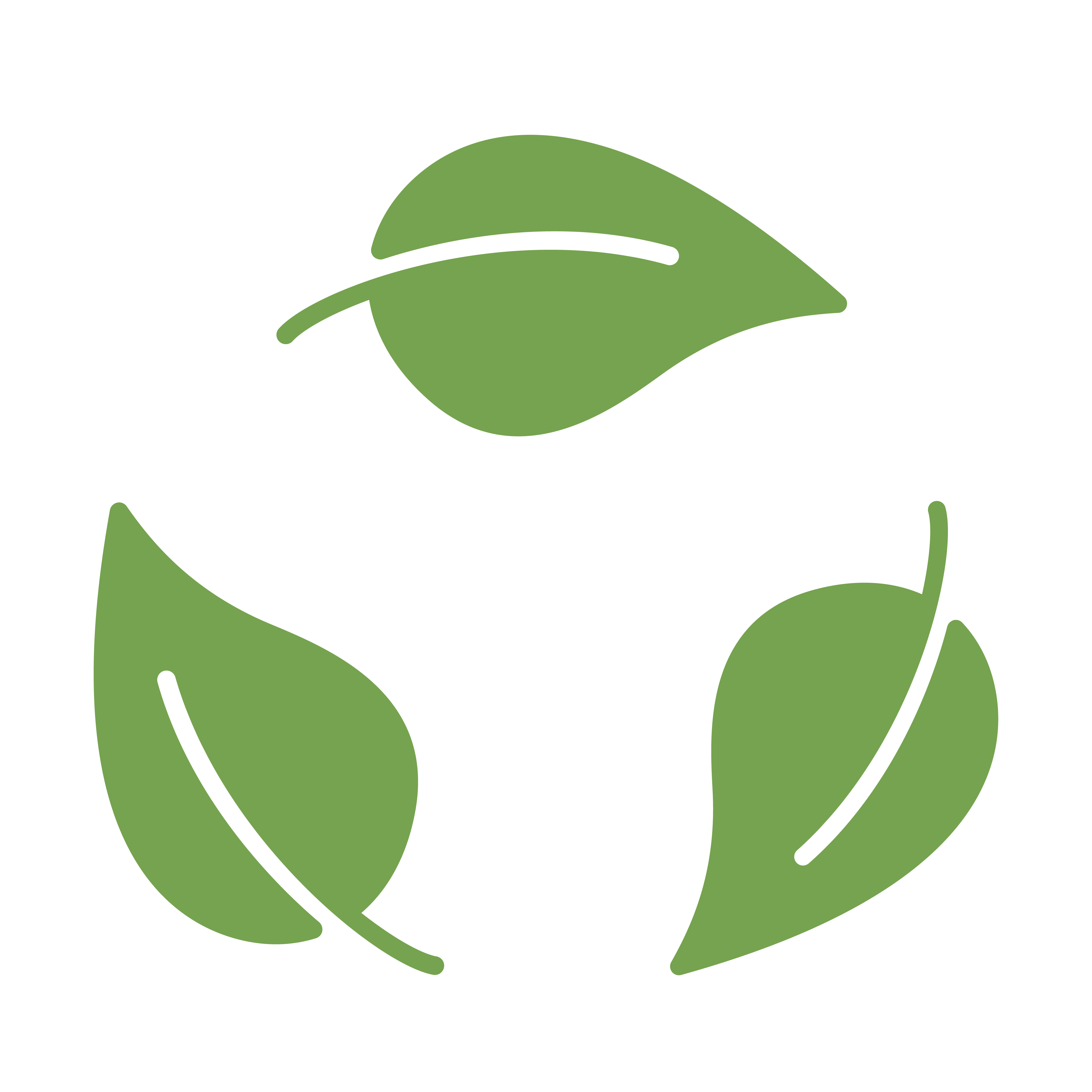 Icon Verpackung